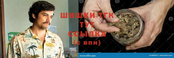 хмурый Лиски
