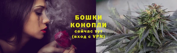 хмурый Лиски