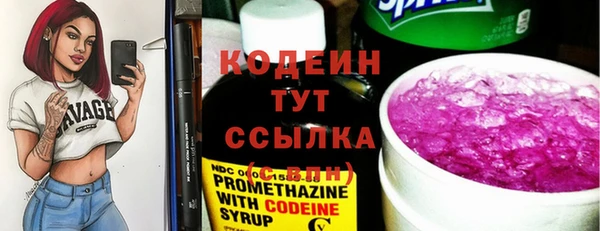 хмурый Лиски