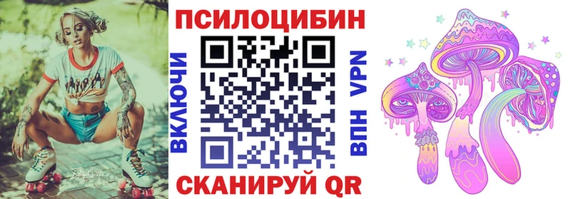 Псилоцибиновые грибы Psilocybe  Жердевка 