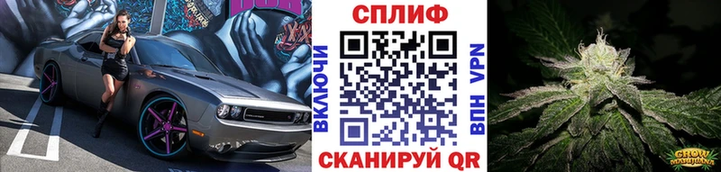 Шишки марихуана план  Жердевка 